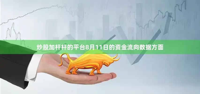 炒股加杆杆的平台8月11日的资金流向数据方面