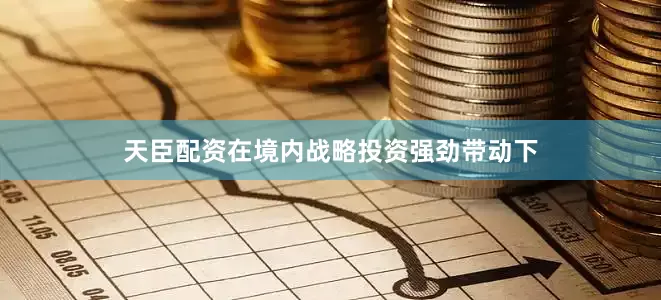 天臣配资在境内战略投资强劲带动下
