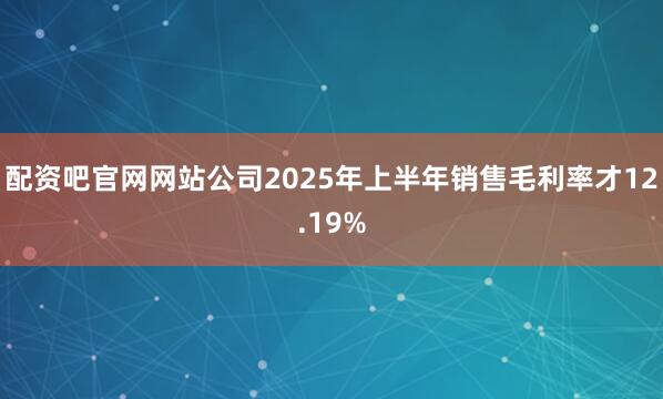 配资吧官网网站公司2025年上半年销售毛利率才12.19%