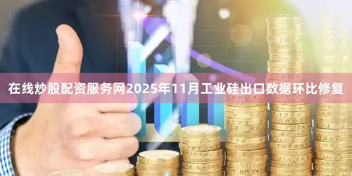 在线炒股配资服务网2025年11月工业硅出口数据环比修复